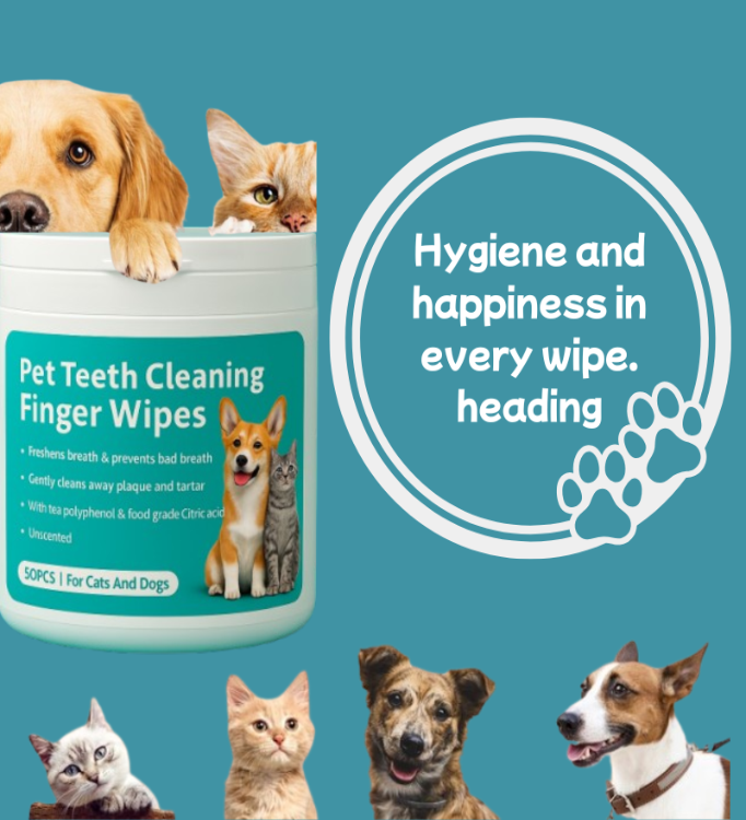 Pet Dental Finger Wipes